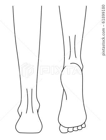 Women's feet - Stock Illustration [61899180] - PIXTA