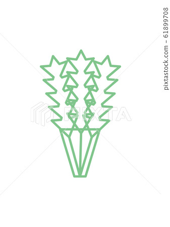 Shungiku line drawing Shungiku line drawing 61899708