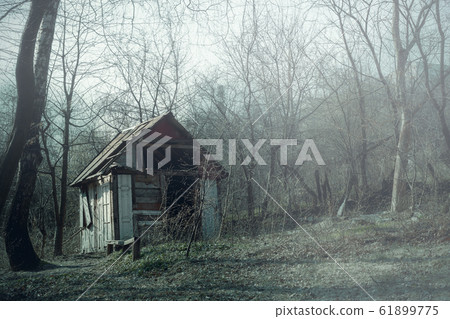 Old wooden hut ruins in foggy wood, spooky Old wooden hut ruins in foggy wood, spooky 61899775