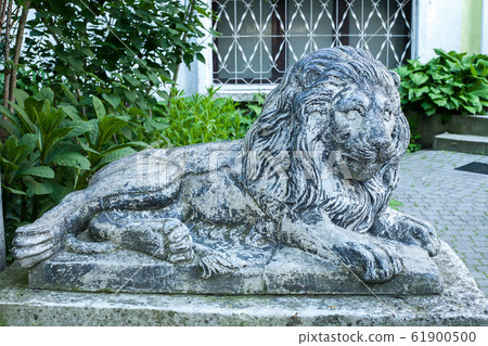 Old grunge lion statue on Lviv city street, Old grunge lion statue on Lviv city street, 61900500