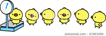 Chick on a scale 61901090