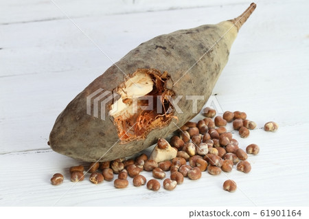 Baobab fruit, pulp and seeds 61901164