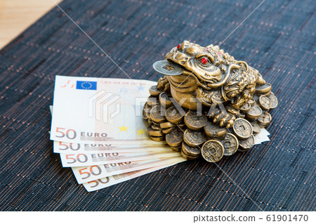 Money frog and euro 61901470