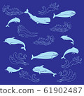 Nautica seamless pattern with sea animals and waves 61902487