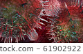 Close up virus spread in the body on microscope 61902922