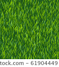 Green grass texture or background. Seamless 61904449