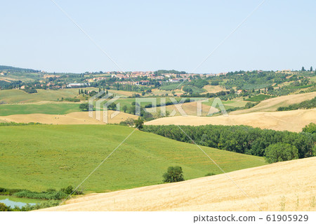 Tuscany hills panorama summer view, Italian Tuscany hills panorama summer view, Italian 61905929