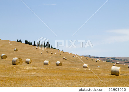Italian countryside panorama. Round bales on wheat Italian countryside panorama. Round bales on wheat 61905930