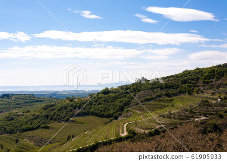 Valpolicella hills landscape, Italian viticulture Valpolicella hills landscape, Italian viticulture 61905933