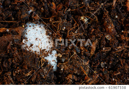 Extreme closeup of micro plastics ( styrofoam ) Extreme closeup of micro plastics ( styrofoam ) 61907338