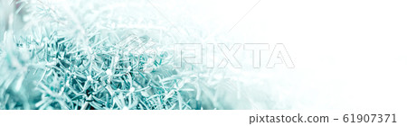 Green rosemary plant botanical natural background 61907371