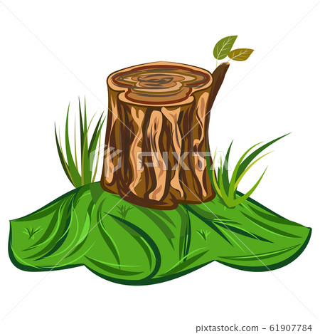 Tree Stump Illustration of a cartoon big tree stump with bench and some blades of grass 61907784