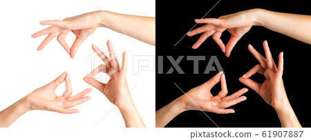 Set of women hands showing mudra gesture or holding something isolated on a white and black 61907887