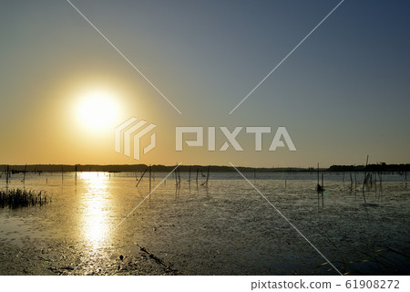 千葉縣印吧沼澤的日出景色 千葉縣印吧沼澤的日出景色 61908272
