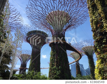 Gardens by the Bay 61908549