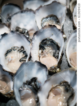 Tasty fresh shucked oysters on ice.  61909410