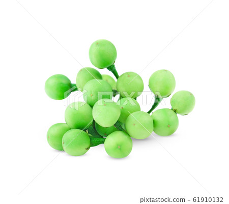 thai eggplant on white background thai eggplant on white background 61910132
