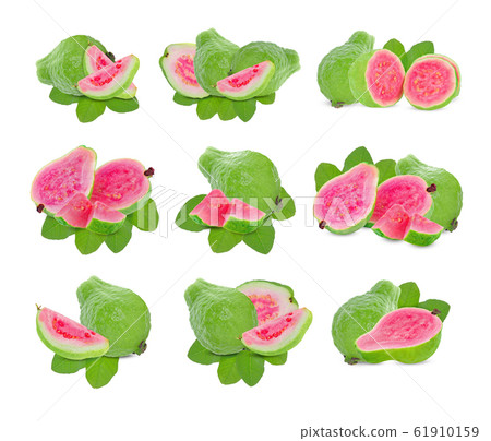 guava fruit isolated on white background. guava fruit isolated on white background. 61910159