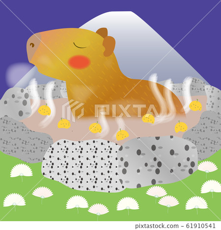 柚子熱水中的水豚 柚子熱水中的水豚 61910541