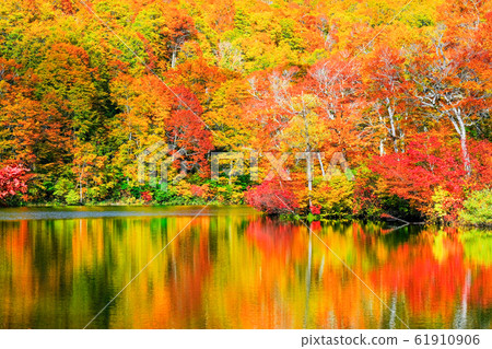 Kamike秋葉 Kamike秋葉 61910906