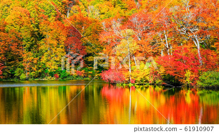 Autumn leaves of Kamike Autumn leaves of Kamike 61910907