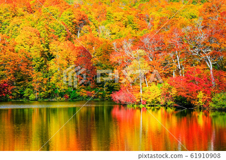 Autumn leaves of Kamike Autumn leaves of Kamike 61910908