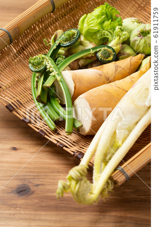春天的蔬菜 61911759