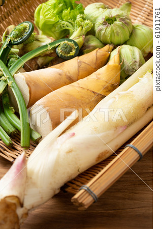 春天的蔬菜 61911761