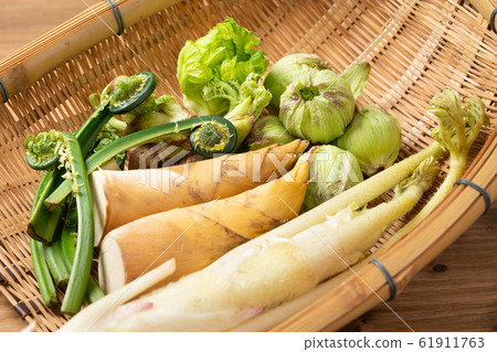 Spring vegetables 61911763