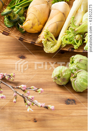 春天的蔬菜 春天的蔬菜 61912275
