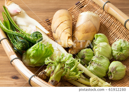 春天的蔬菜 春天的蔬菜 61912280