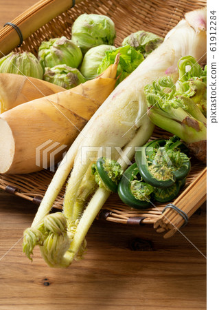 春天的蔬菜 春天的蔬菜 61912284