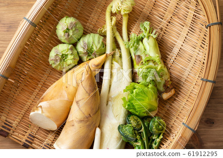 春天的蔬菜 春天的蔬菜 61912295