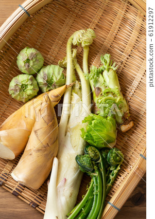 春天的蔬菜 春天的蔬菜 61912297
