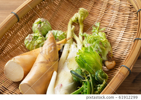 春天的蔬菜 61912299