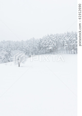 Snowy field Snowy field 61912690