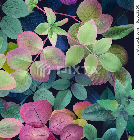 Delicate and elegant watercolor flowers and colorful leaf material Delicate and elegant watercolor flowers and colorful leaf material 61913250