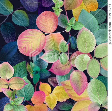 Delicate and elegant watercolor flowers and colorful leaf material Delicate and elegant watercolor flowers and colorful leaf material 61913251