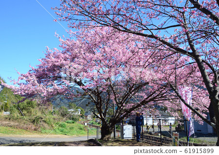 日南神崎1號 61915899