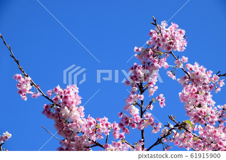 日南神崎1號 61915900