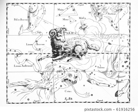 astronomical catalog of constellations on a light astronomical catalog of constellations on a light 61916256