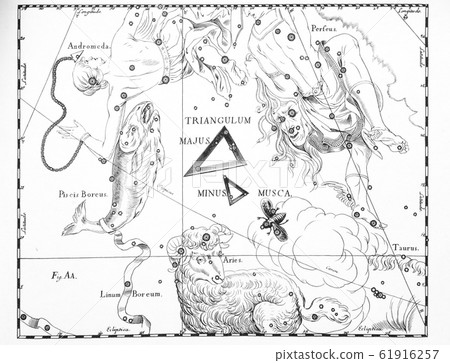 astronomical catalog of constellations on a light astronomical catalog of constellations on a light 61916257