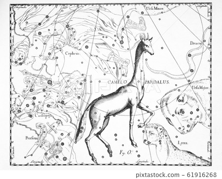 astronomical catalog of constellations on a light astronomical catalog of constellations on a light 61916268
