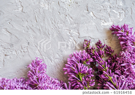 Border blooming branches of lilac on gray stone Border blooming branches of lilac on gray stone 61916458