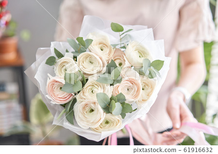 Persian buttercup in womans hands. Bunch pale pink ranunculus flowers with green eucalyptus. The work of the florist at a flower shop 61916632