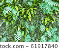 Green Wall 61917840