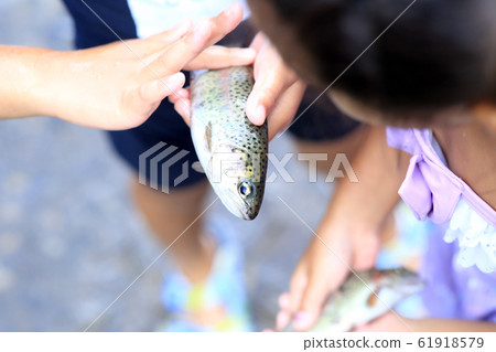 Children enjoying fishing Children enjoying fishing 61918579