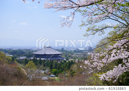 東京寺在春天 東京寺在春天 61918863
