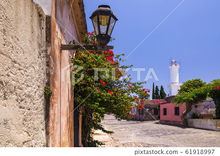 Colonial street and houses. Colonia. Uruguay. 61918997