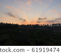 Jeju island glow 61919474